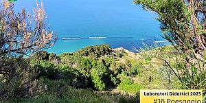 Locandina di Paesaggio Sonoro