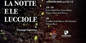 La notte e le lucciole. Immagine di bambina