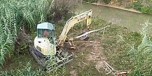 Gru al lavoro nel fiume