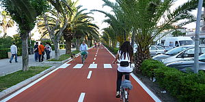 Ciclabile con palme