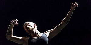 Opera X / Hangartfest 2019