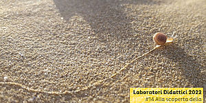 Laboratori Didattici 2022 #14
