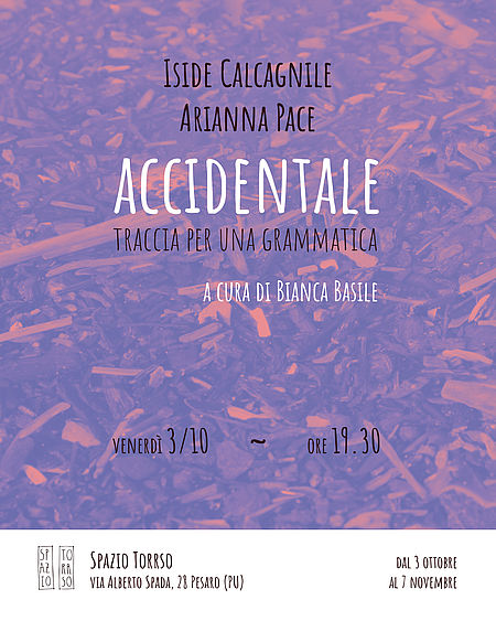 ACCIDENTALE. Traccia per una grammatica ACCIDENTALE. Traccia per una grammatica