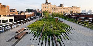 L'immagine di una green line