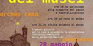 Locandina La notte dei Musei a Novilara