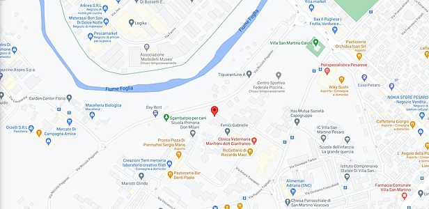 mappa pista pattinaggio lungofoglia