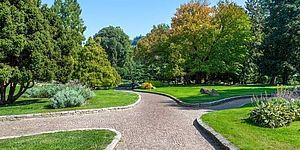 Parco verde con vialetti