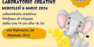 Laboratorio Profumo di Mimosa