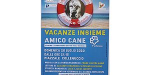 Immagine locandina vacanze insieme animali