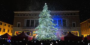 Ricci accende “Pesaro nel Cuore” pensando all’Ucraina: «Che sia un Natale di pace»