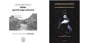 Immagine raffigurante le due copertine dei libri