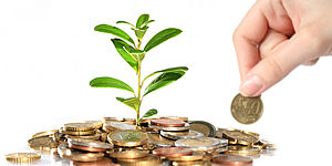 mano con soldi e piantina