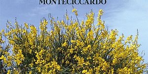 locandina stati generali nostra terra