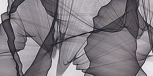 particolare della copertina del libro