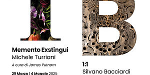 Memento Exstingui - Michele Turriani | 1:1 Silvano Bacciardi