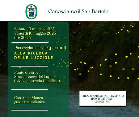 Alla ricerca delle lucciole Locandina alla ricerca delle lucciole 16 maggio