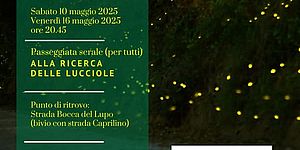 Locandina alla ricerca delle lucciole 16 maggio
