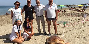 Tartaruga Luciana: ultimi giorni per inviare le proposte per il logo 