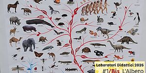 Immagine de L'albero della Vita (bis)