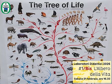 Immagine de L'albero della Vita (bis)