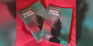 particolare della copertina del libro