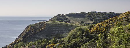 Il Parco San Bartolo, nella foto di Leonardo Mattioli