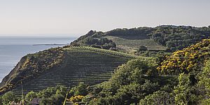 Il Parco San Bartolo, nella foto di Leonardo Mattioli