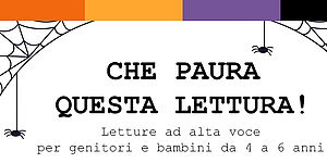 particolare immagine locandina ragni con ragnatele