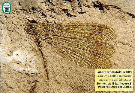 Locandina di Una notte al Museo