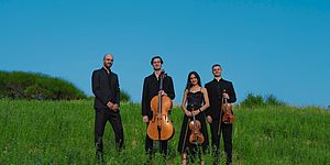 Musica a corte / Ente concerti