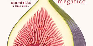 Locandina Zoe Micro Festival 2025