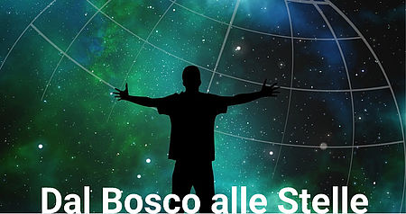 Immagina dal bosco alle stelle Immagina dal bosco alle stelle