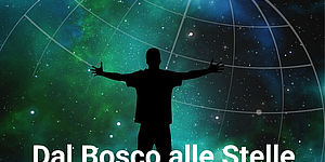Immagina dal bosco alle stelle