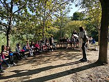 Vicino al fiume Foglia