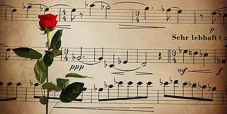 Disegno di uno spartito musicale ed una rosa