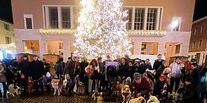 Natale Insieme Amico Cane - Pesaro 2025