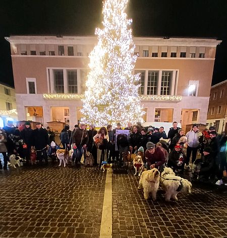 Natale Insieme Amico Cane - Pesaro 2025