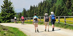 Passeggiata sulle montagne