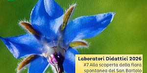 Locandina di Alla scoperta della flora spontanea del San Bartolo