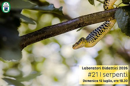 locandina I Serpenti