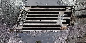 Caditoia