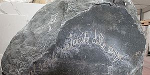 Meteorite, gemello. Opera di Paolo Icaro, poesia di Gianni d'Elia ph di Luca Toni