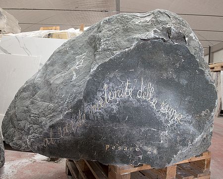 Meteorite, gemello. Opera di Paolo Icaro, poesia di Gianni d'Elia ph di Luca Toni