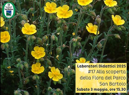 Locandina di Alla scoperta del Parco San Bartolo