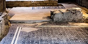 La Domus romana - Foto @ph Luigi Angelucci