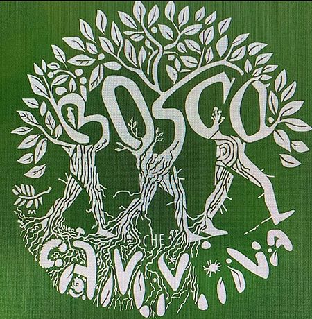 Immagine bosco che cammina