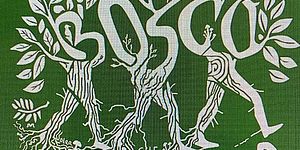 Immagine bosco che cammina