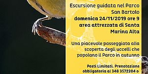 Domenica in Panoramica