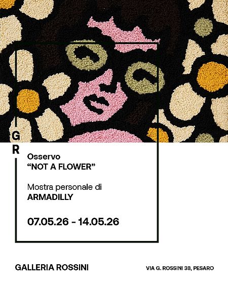 Not a Flower - Armadilly