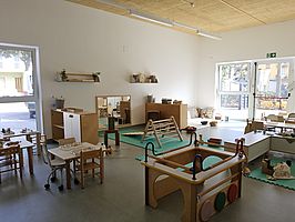 Alberone - Polo "Il Faro"